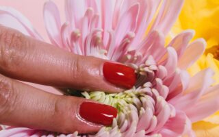 person pressing a chrysanthemum flower on pink surface