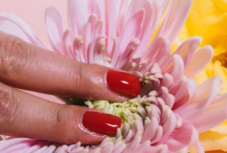 person pressing a chrysanthemum flower on pink surface