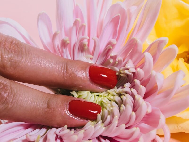 person pressing a chrysanthemum flower on pink surface